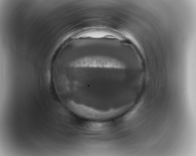 X0000088480829200706051359