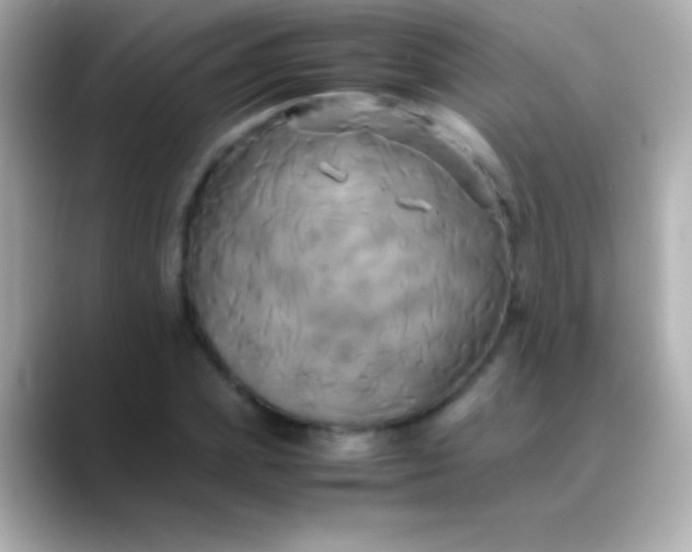 X0000088480831200706051359