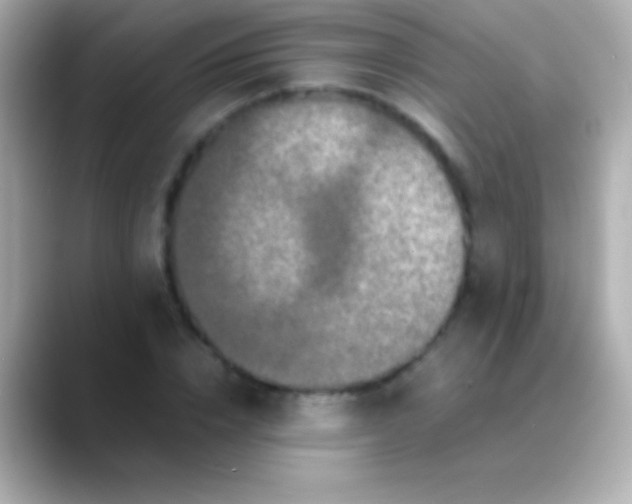X0000088480832200706051359