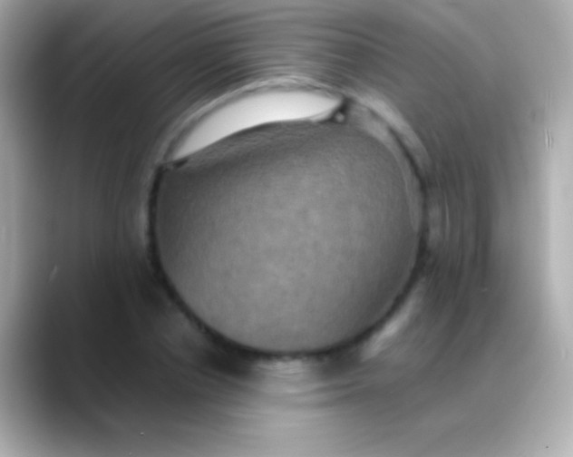 X0000088480834200706051359