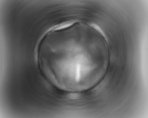 X0000088480835200706051359