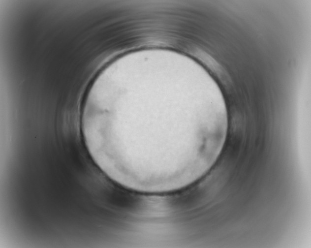 X0000088480836200706051359