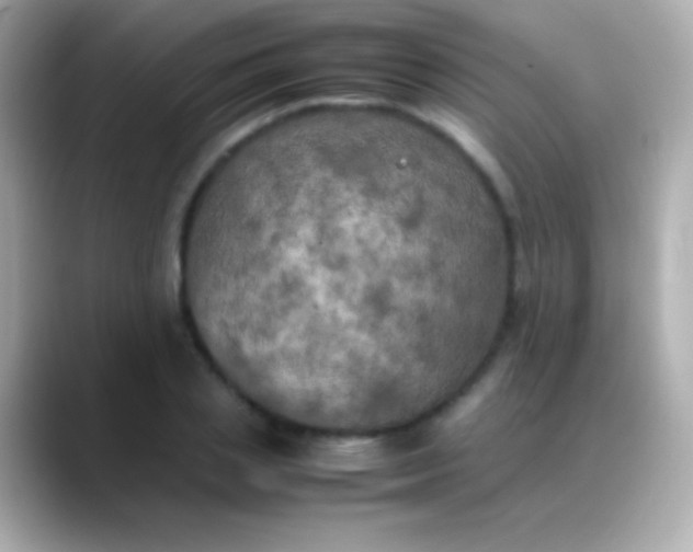 X0000088480837200706051359