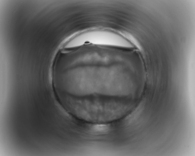 X0000088480839200706051359
