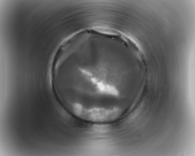 X0000088480840200706051359