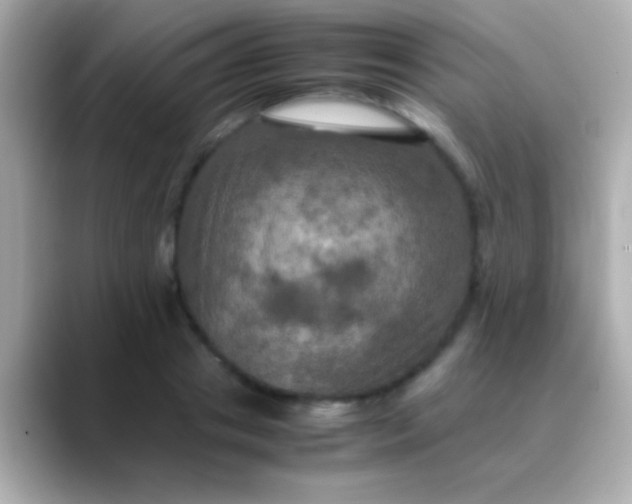 X0000088480841200706051359
