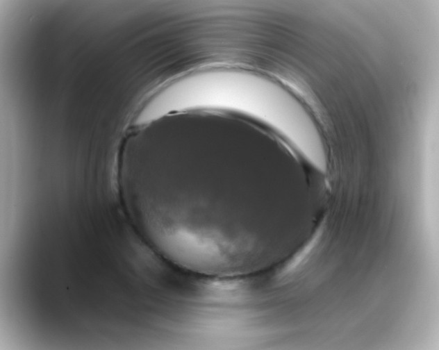 X0000088480842200706051359