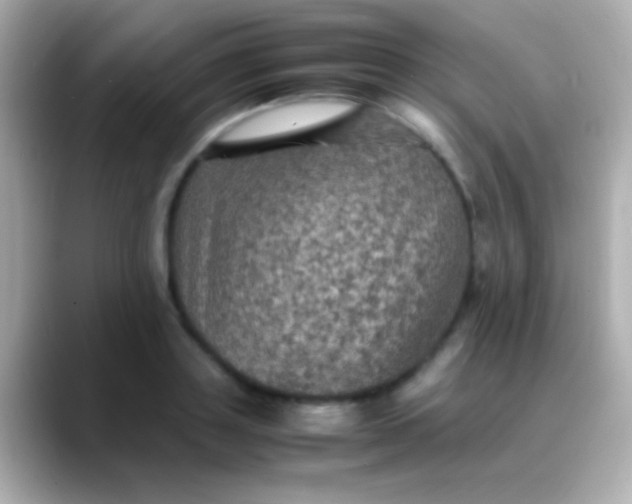 X0000088480843200706051359