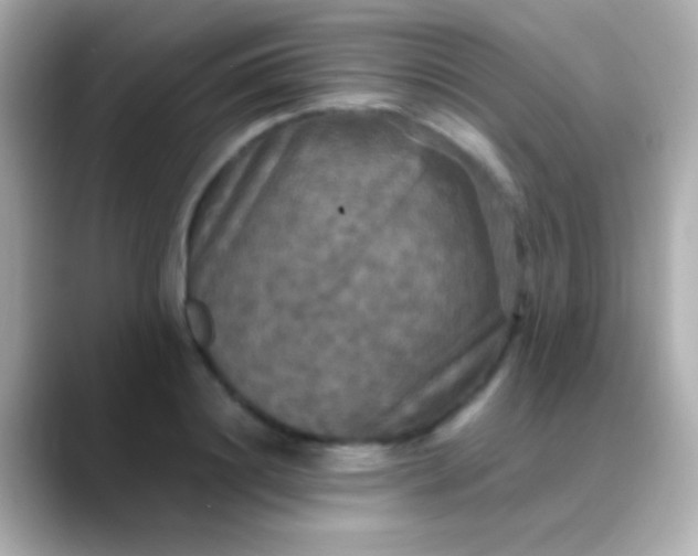 X0000088480844200706051359