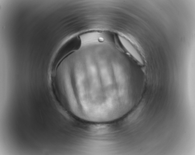 X0000088480846200706051359