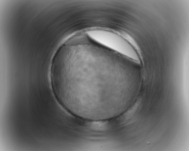 X0000088480847200706051359