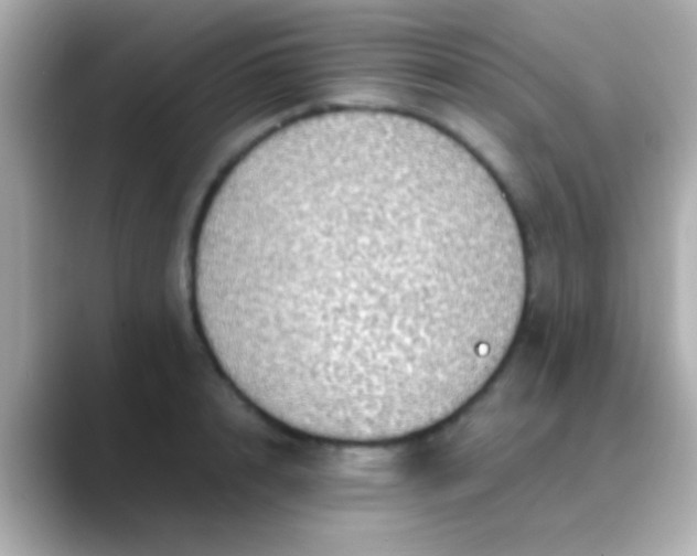 X0000088480848200706051359