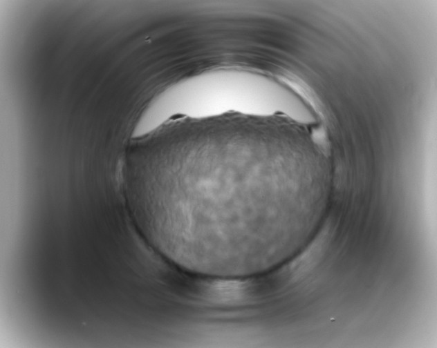 X0000088480849200706051359