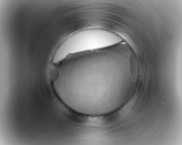 X0000088480850200706051359