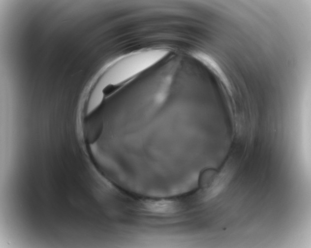 X0000088480851200706051359
