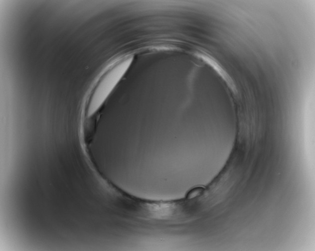 X0000088480853200706051359