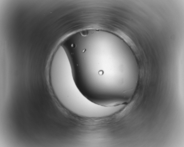 X0000088480854200706051359