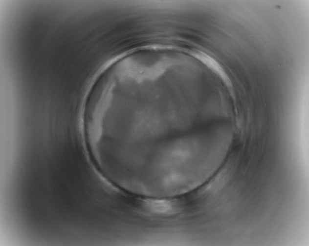 X0000088480855200706051359