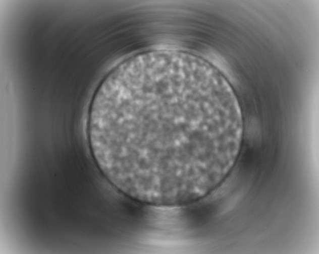 X0000088480856200706051359