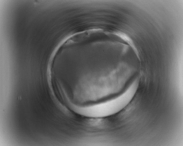 X0000088480859200706051359