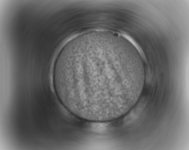 X0000088480861200706051359