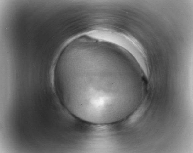 X0000088480862200706051359