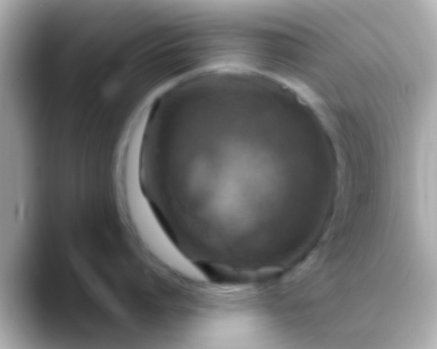 X0000088480864200706051359