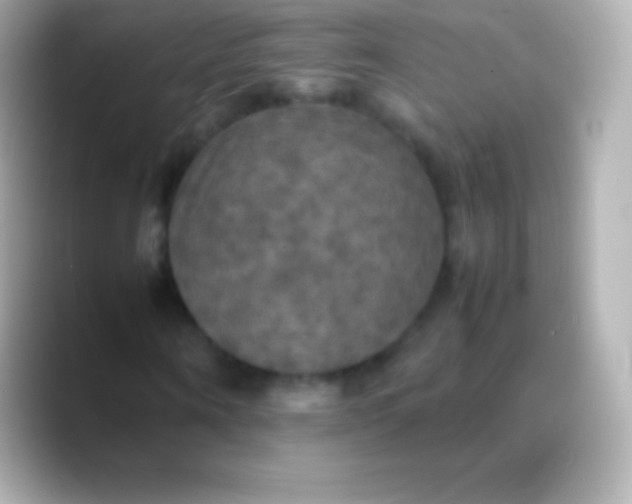 X0000088480866200706051358