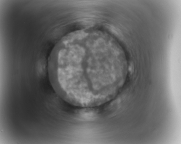 X0000088480867200706051358