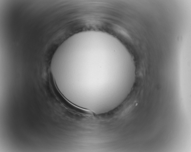 X0000088480869200706051358