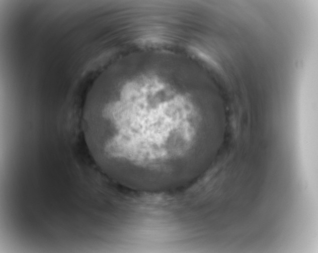 X0000088480870200706051358