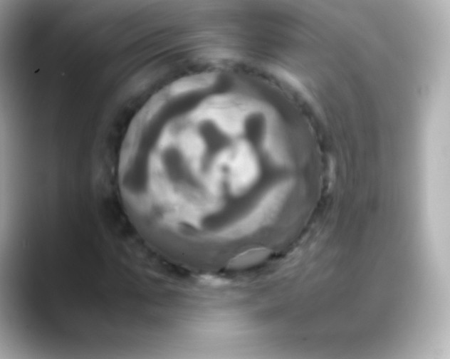 X0000088480871200706051358