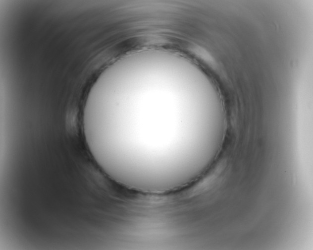 X0000088480873200706051358