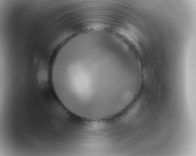 X0000088480874200706051358