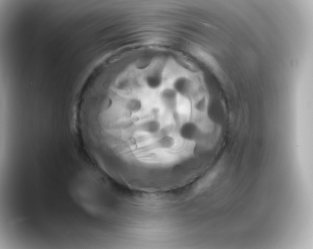 X0000088480875200706051358