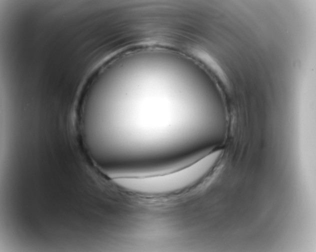 X0000088480876200706051358