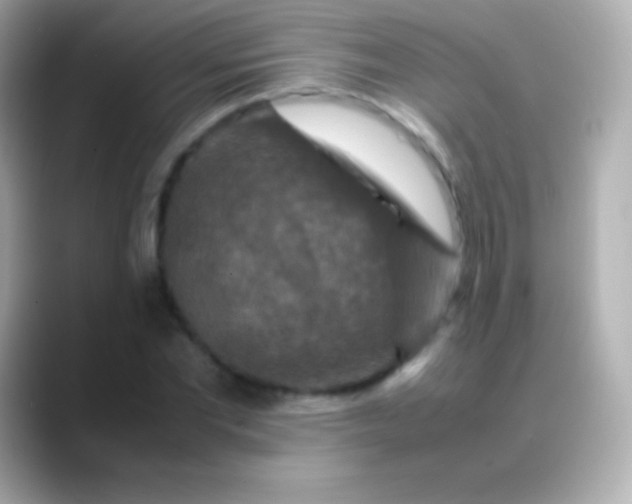 X0000088480877200706051358