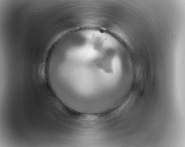 X0000088480878200706051358