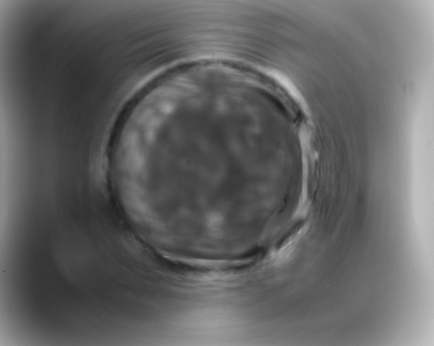 X0000088480879200706051358