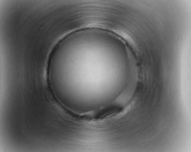 X0000088480880200706051358