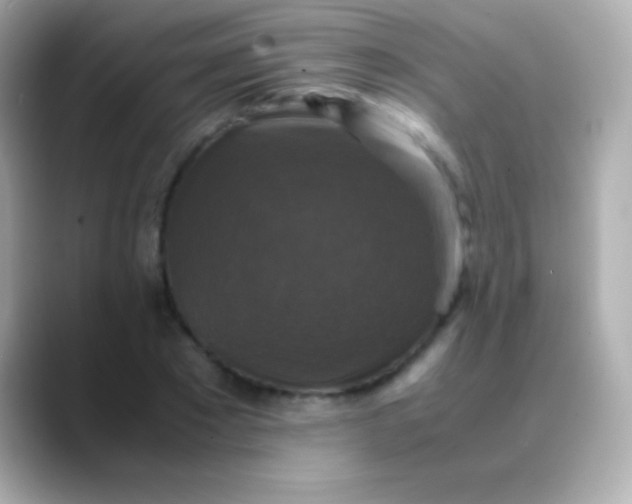X0000088480881200706051358