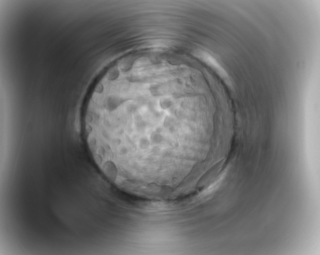 X0000088480883200706051358