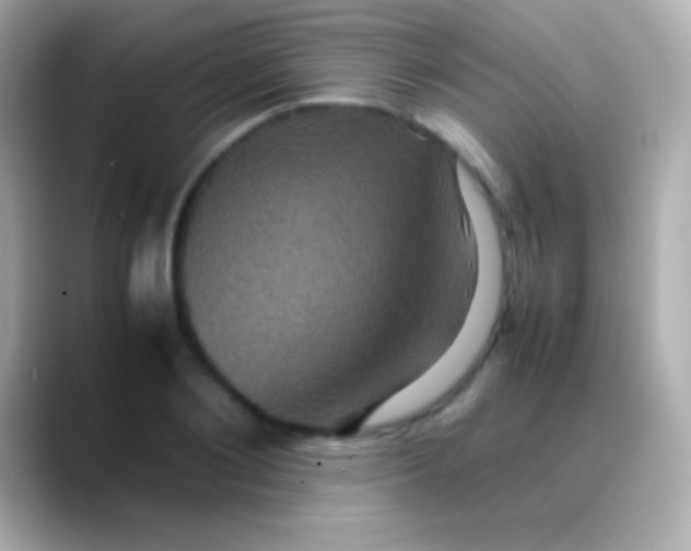 X0000088480884200706051358
