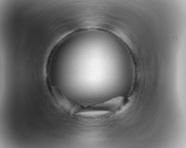 X0000088480885200706051358