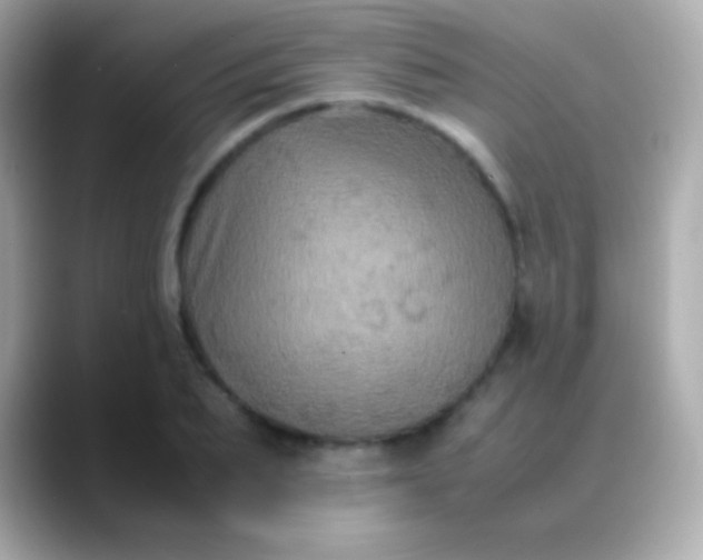 X0000088480887200706051358