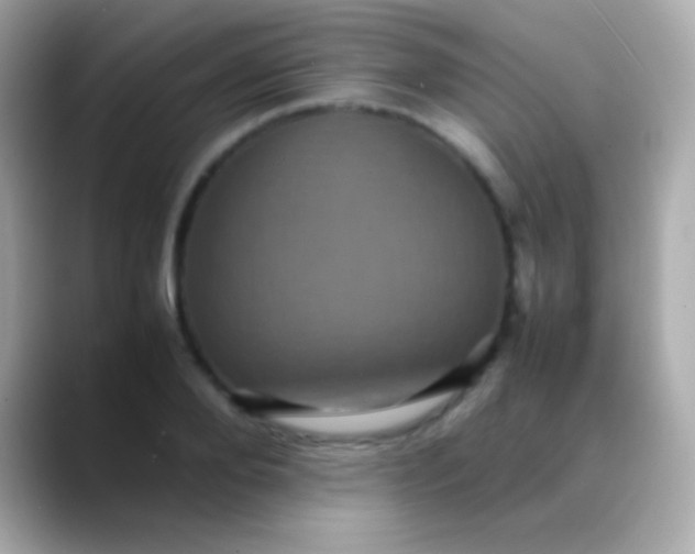 X0000088480888200706051358