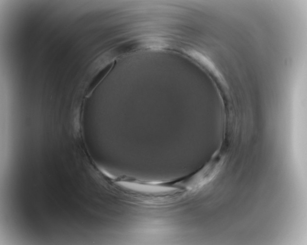 X0000088480889200706051358
