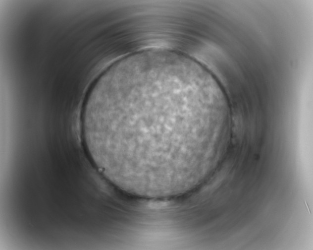 X0000088480890200706051358