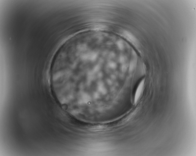 X0000088480891200706051358