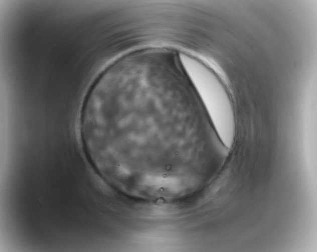 X0000088480895200706051358